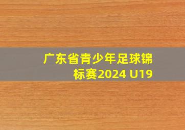 广东省青少年足球锦标赛2024 U19